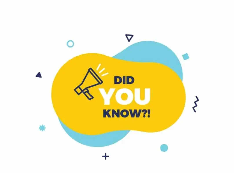 New Report Reveals How Top Companies Approach Compensation